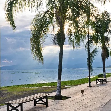 Lago de Chapala